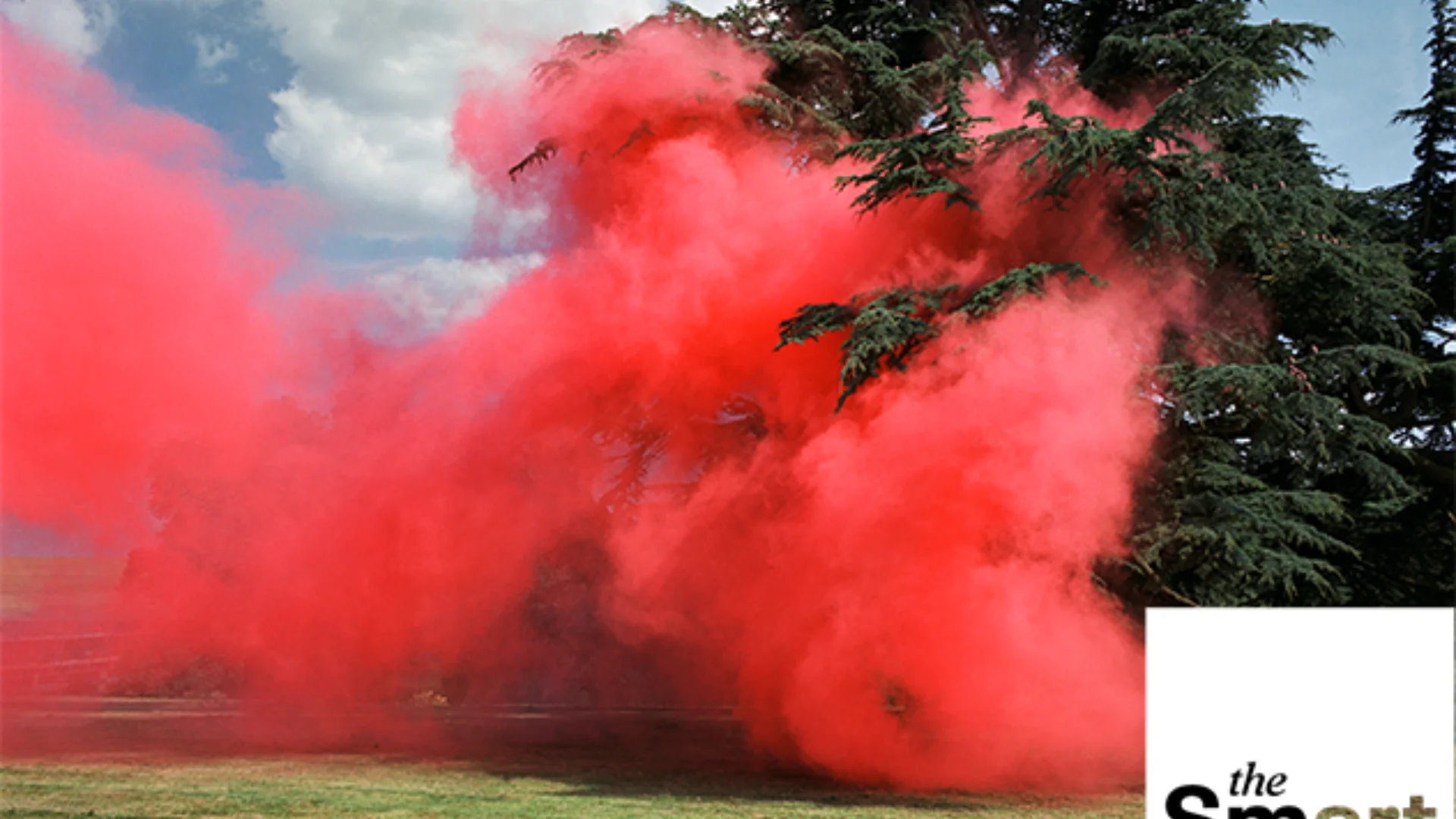 Cloud of red dye or paint in front of trees