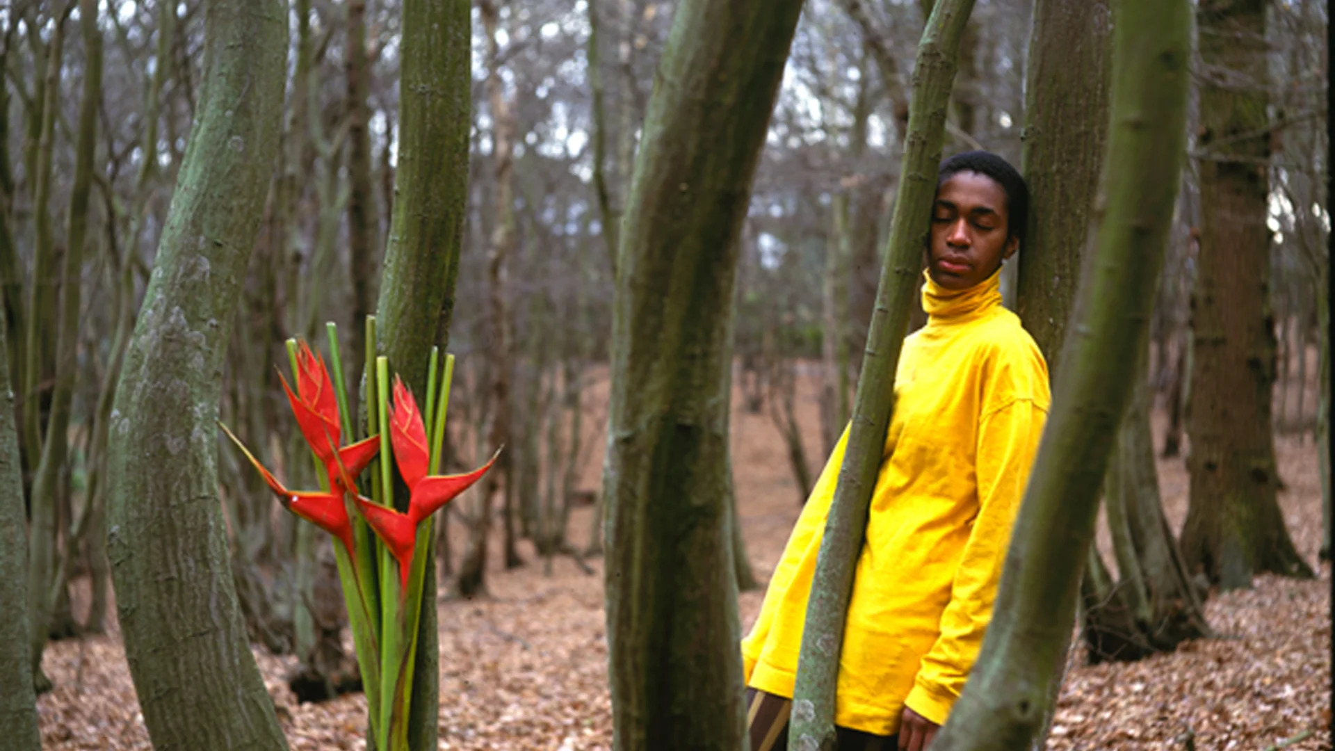 Man standing behind a tree with orchid in the foreground