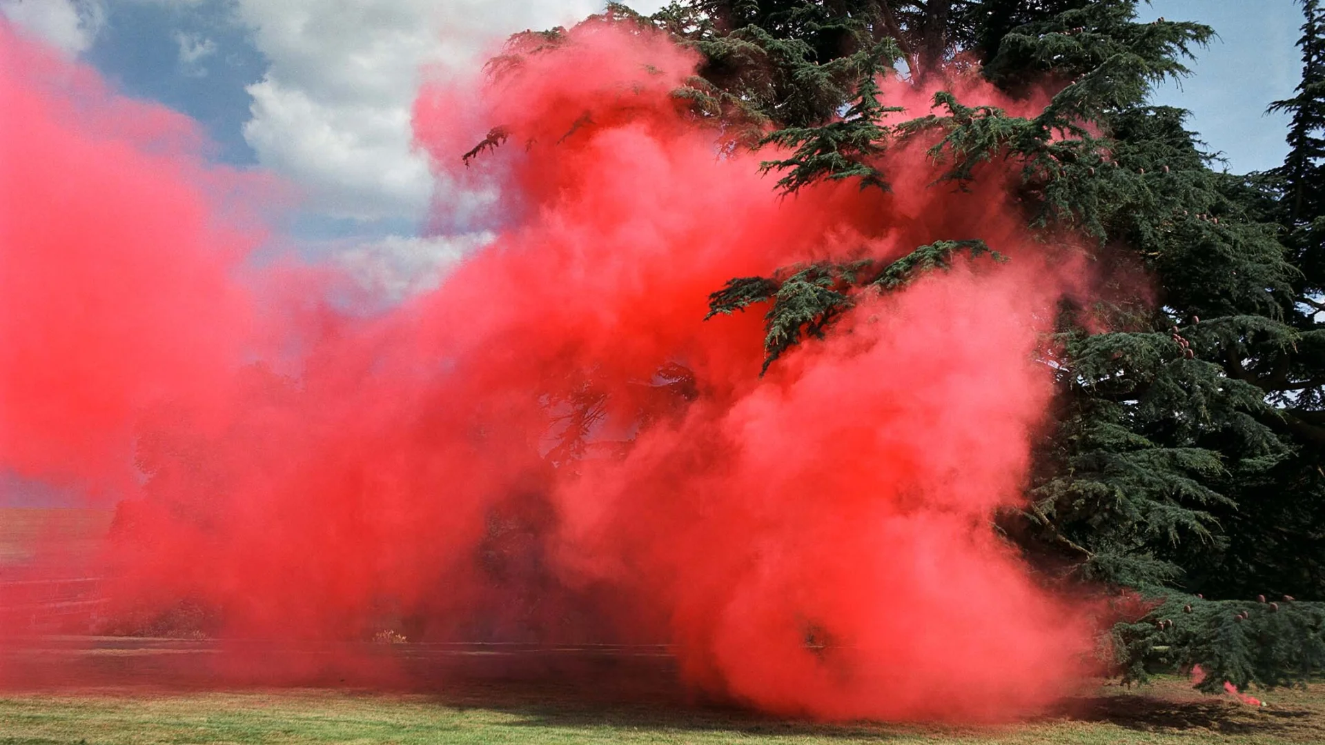 A photograph showing a red cloud low to the ground, with coniferous trees.